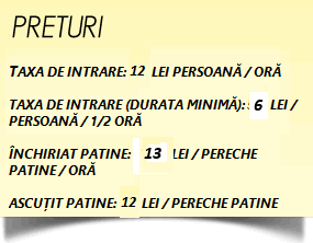 Patinoar Braila - Program